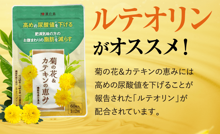 【新品・未開封】和漢の森 菊の花＆カテキンの恵み 60粒 × 3袋セット